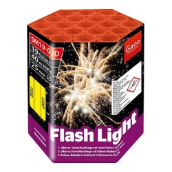 FLASH LIGHT SM19-02D