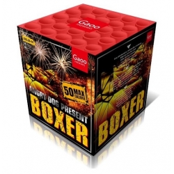 BOXER XXL25-01