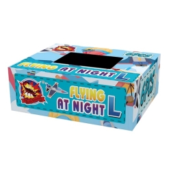 FLYING AT NIGHT L CLE3543