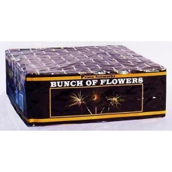BUNCH OF FLOWERS TXB647